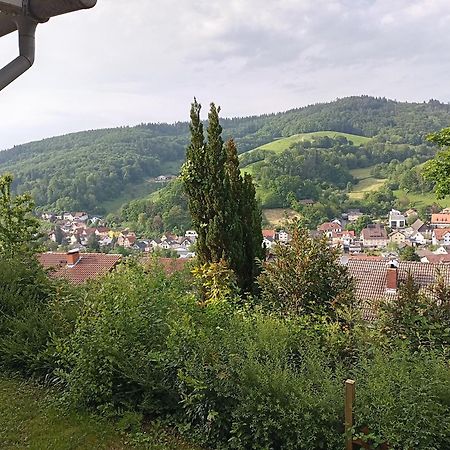Das Tor Zum Odenwald Gorxheimertal エクステリア 写真
