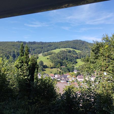 Das Tor Zum Odenwald Gorxheimertal エクステリア 写真