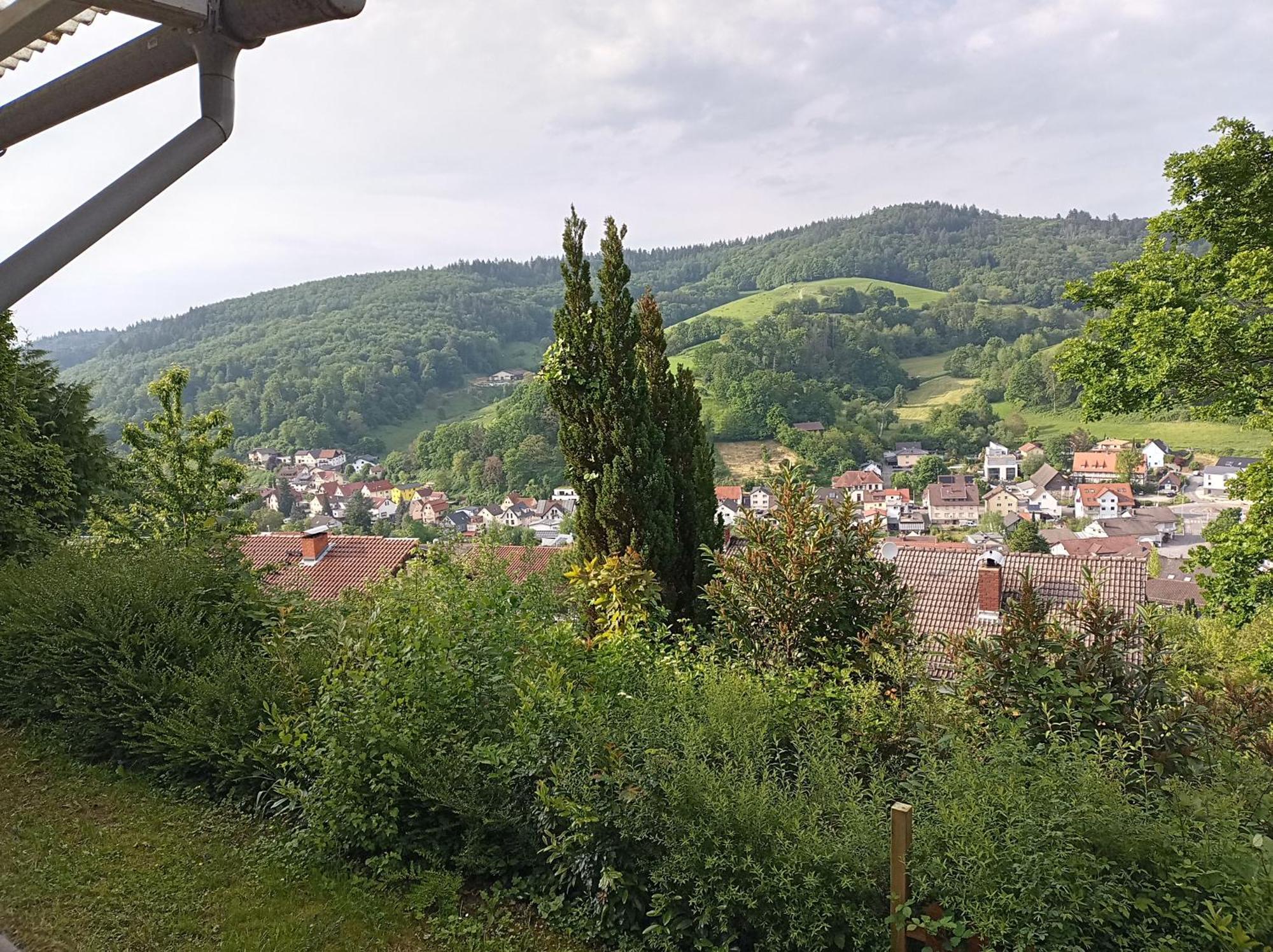 Das Tor Zum Odenwald Gorxheimertal エクステリア 写真
