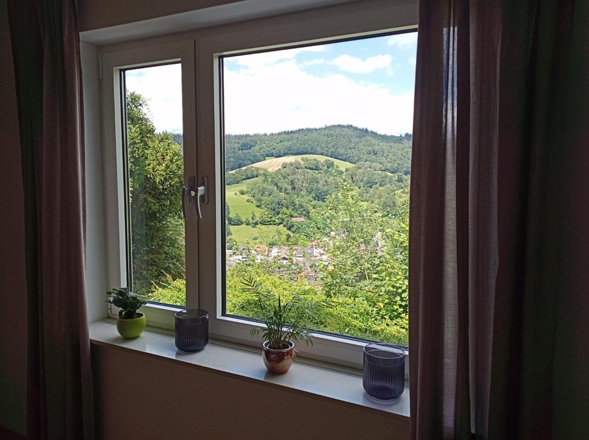 Das Tor Zum Odenwald Gorxheimertal エクステリア 写真