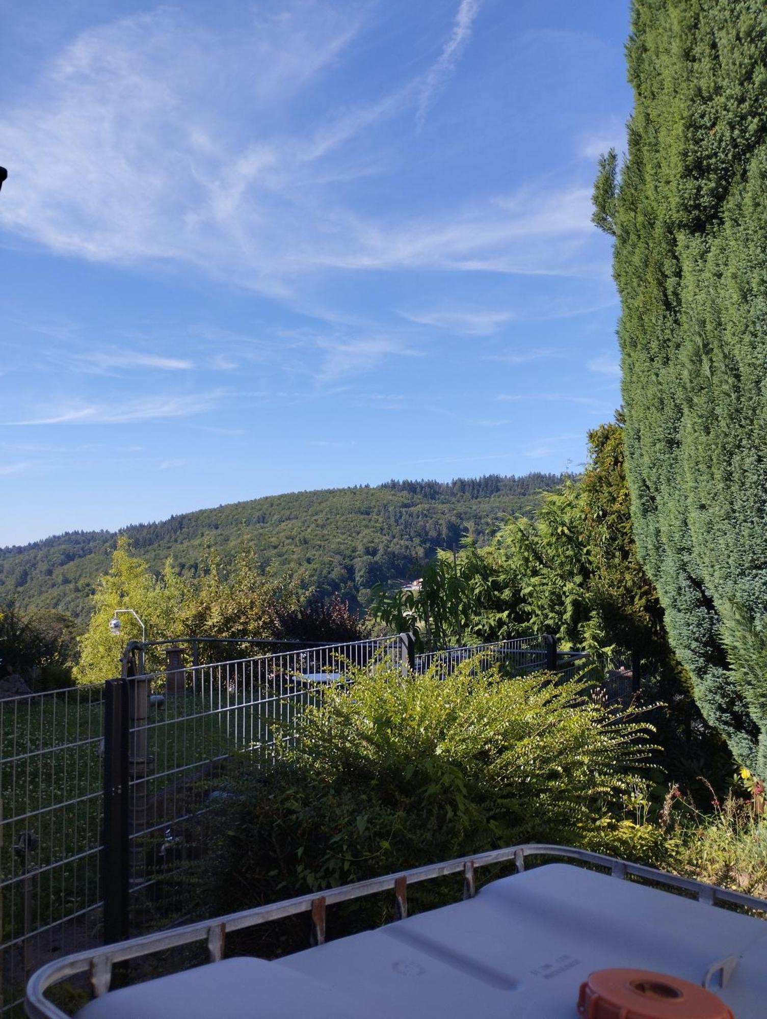 Das Tor Zum Odenwald Gorxheimertal エクステリア 写真